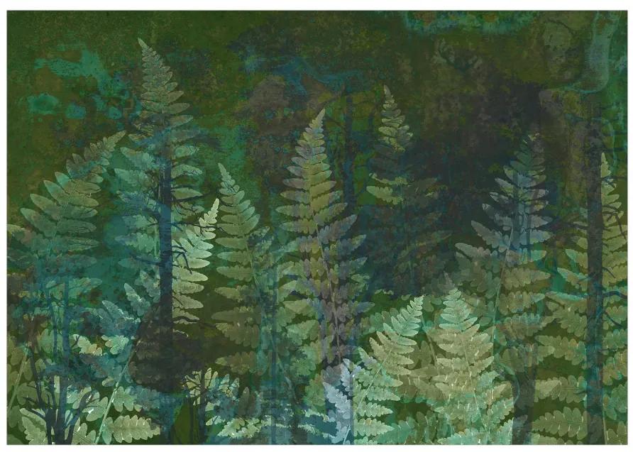 Fototapet - Ferns in the Woods - Second Variant
