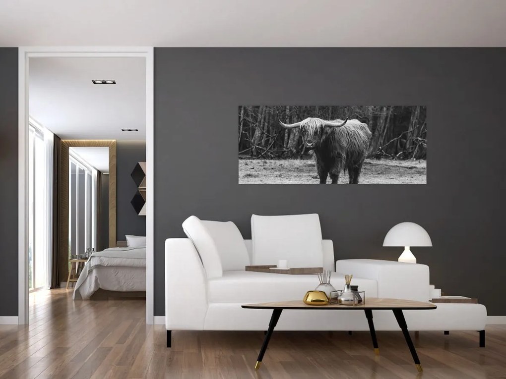 Tablou - Vacă scoțiană (120x50 cm)