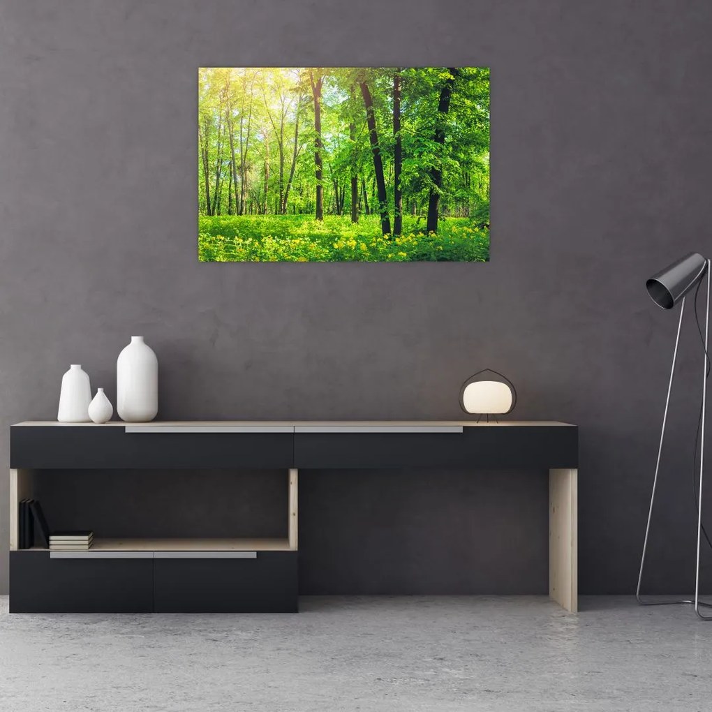 Tablou - Pădurea cu frunze de primăvară (90x60 cm)