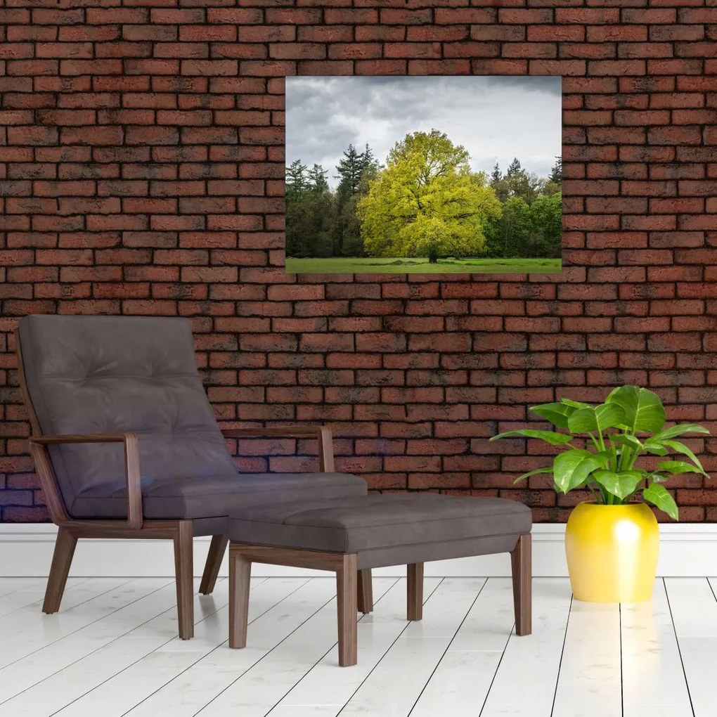 Tablou pe sticlă - Copac verde în câmp (70x50 cm)