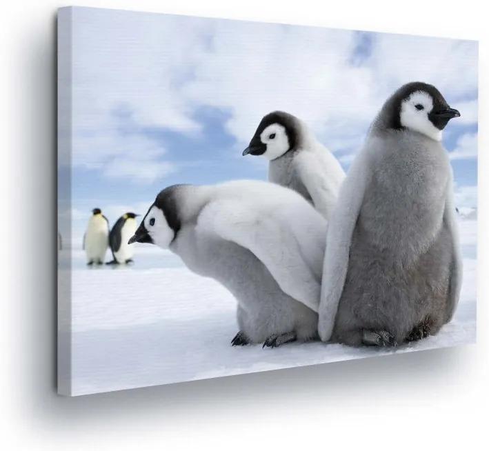 GLIX Tablou - Penguin Family 80x60 cm