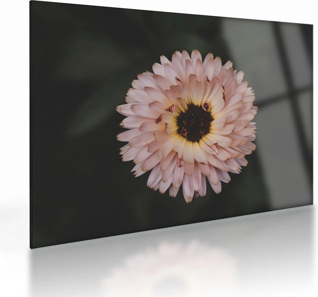 Tablou pe sticlă cu floare portocalie (70x50 cm)