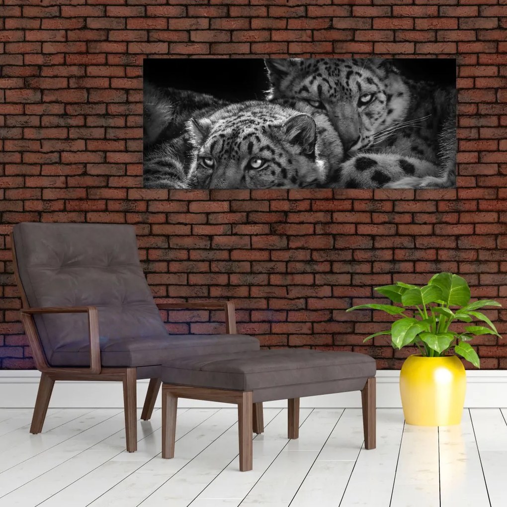 Tablou - Gheparzi care se odihnesc (120x50 cm)