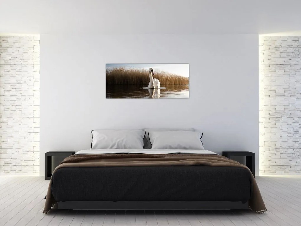 Tablou cu lebăda (120x50 cm)