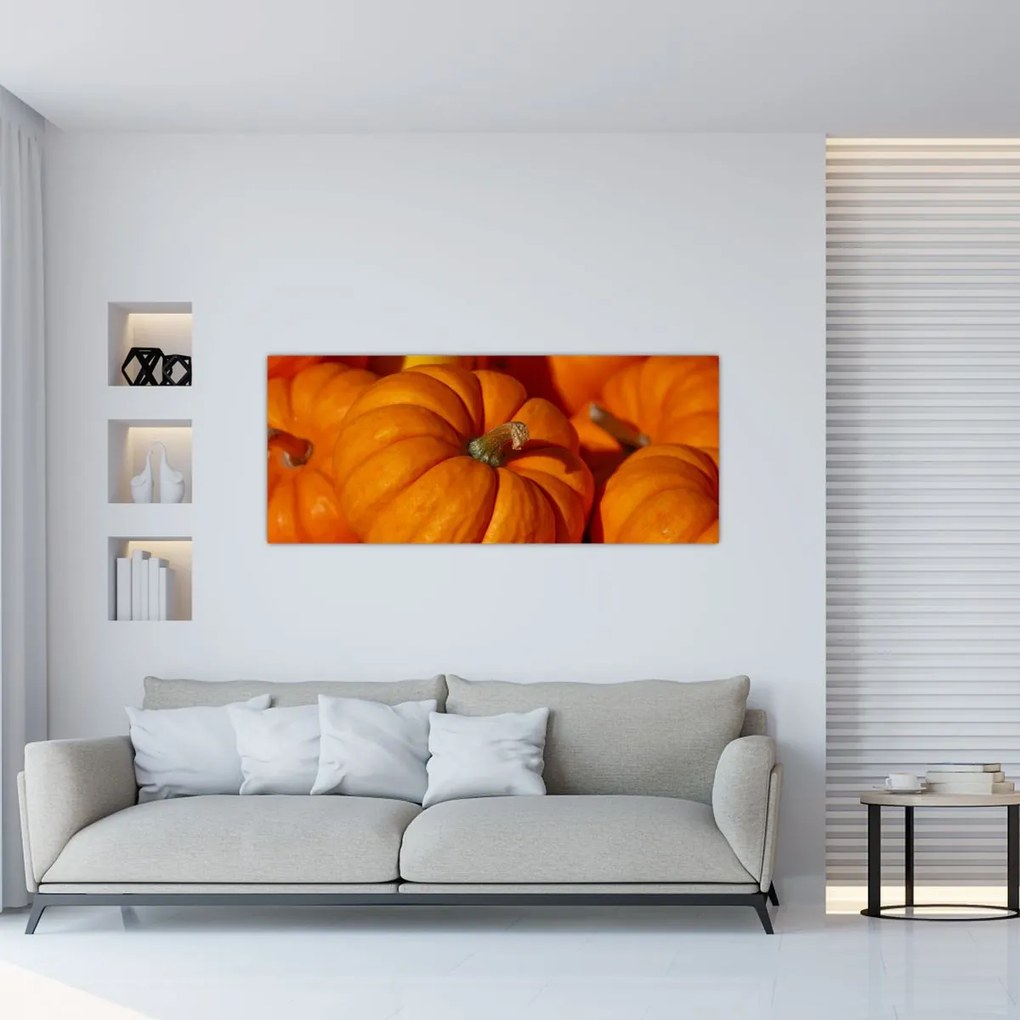 Tablou - Dovleci mari (120x50 cm)