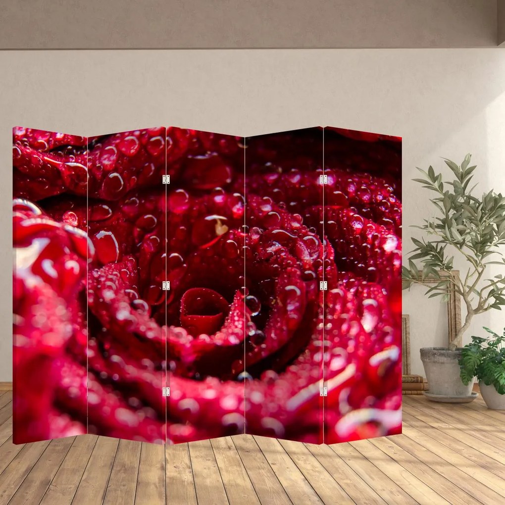 Paravan - floarea trandafirului roșu (210x170 cm)