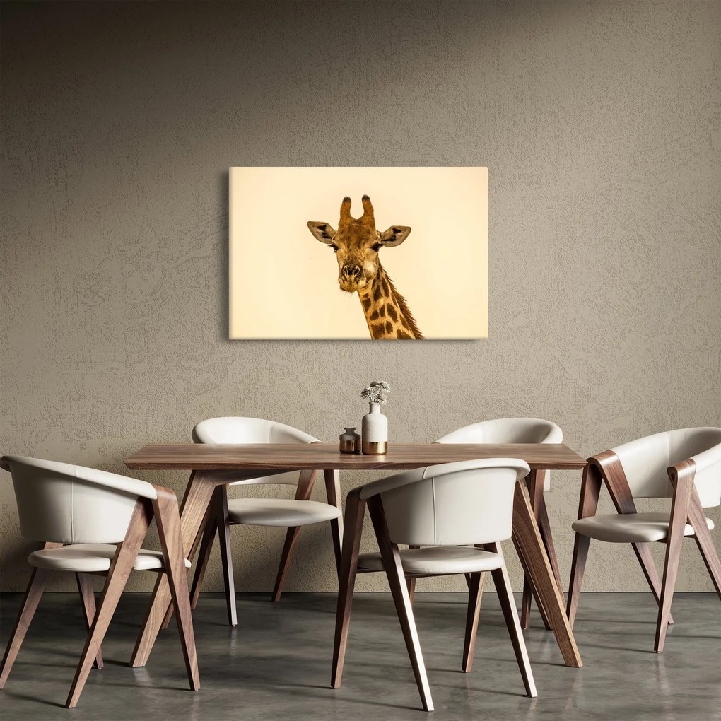 Tablou cu girafe (90x60 cm)