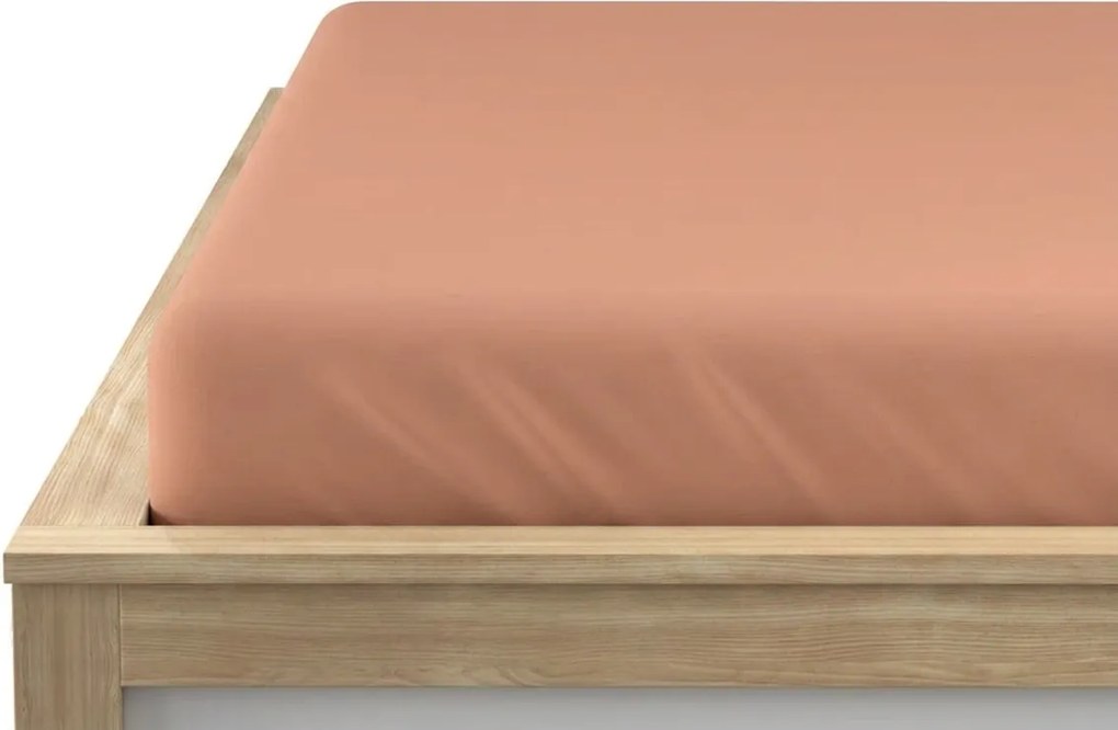 Cearsaf Jersey BASIC piersic 90 x 200 cm