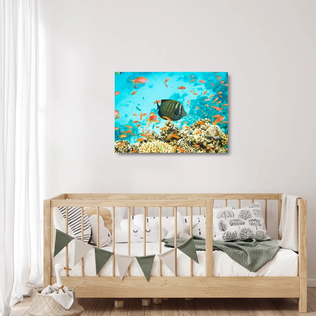 Tablou pe sticlă lumii submarine (70x50 cm)