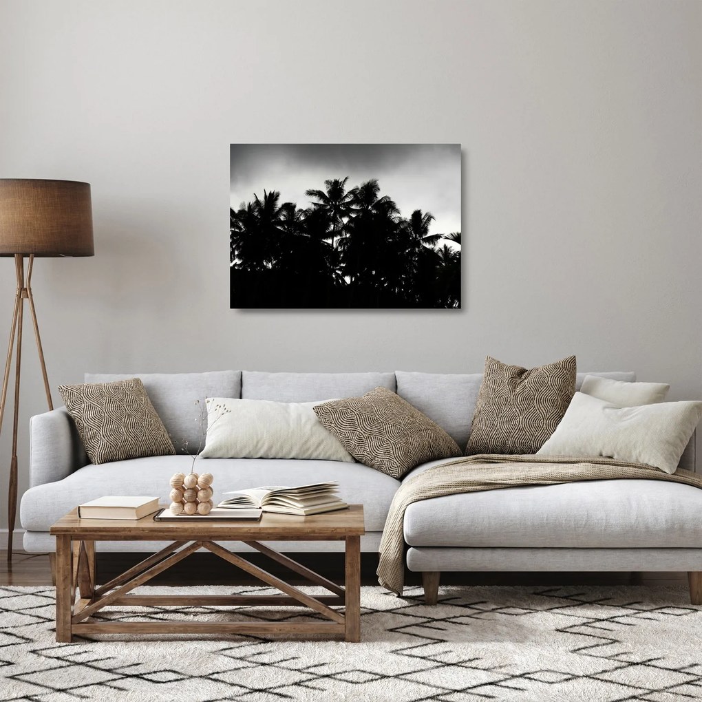 Tablou pe sticlă alb negru - palmieri (70x50 cm)