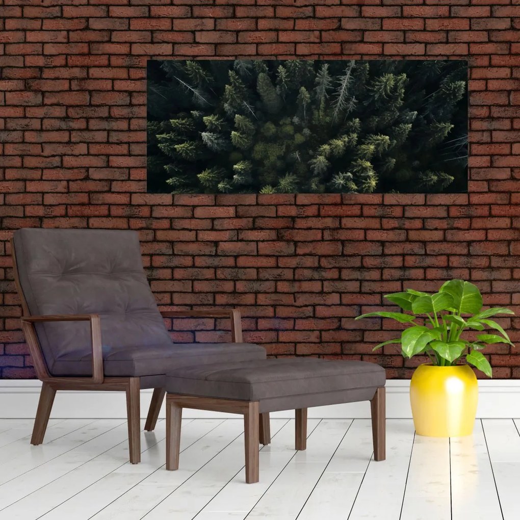 Tablou - Pădure (120x50 cm)