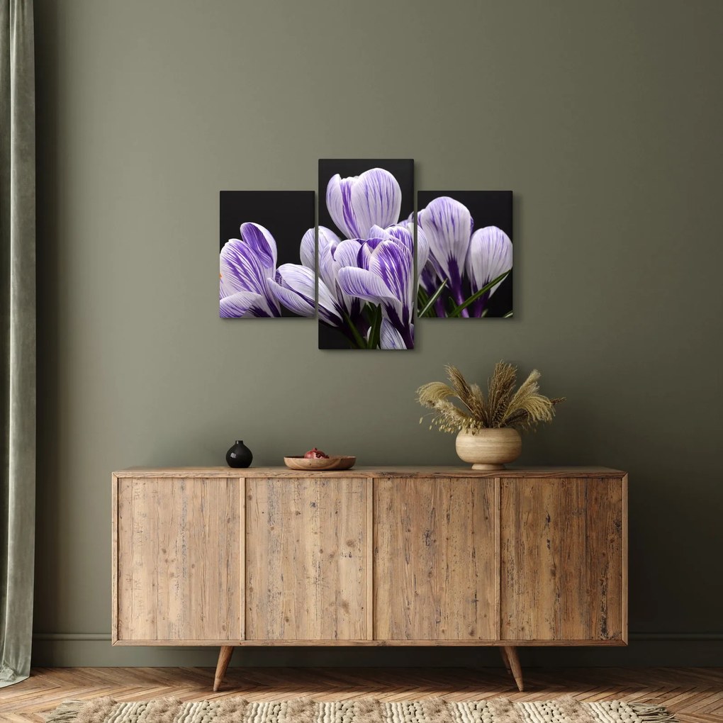 Tablou - Crocus violet (90x60 cm)