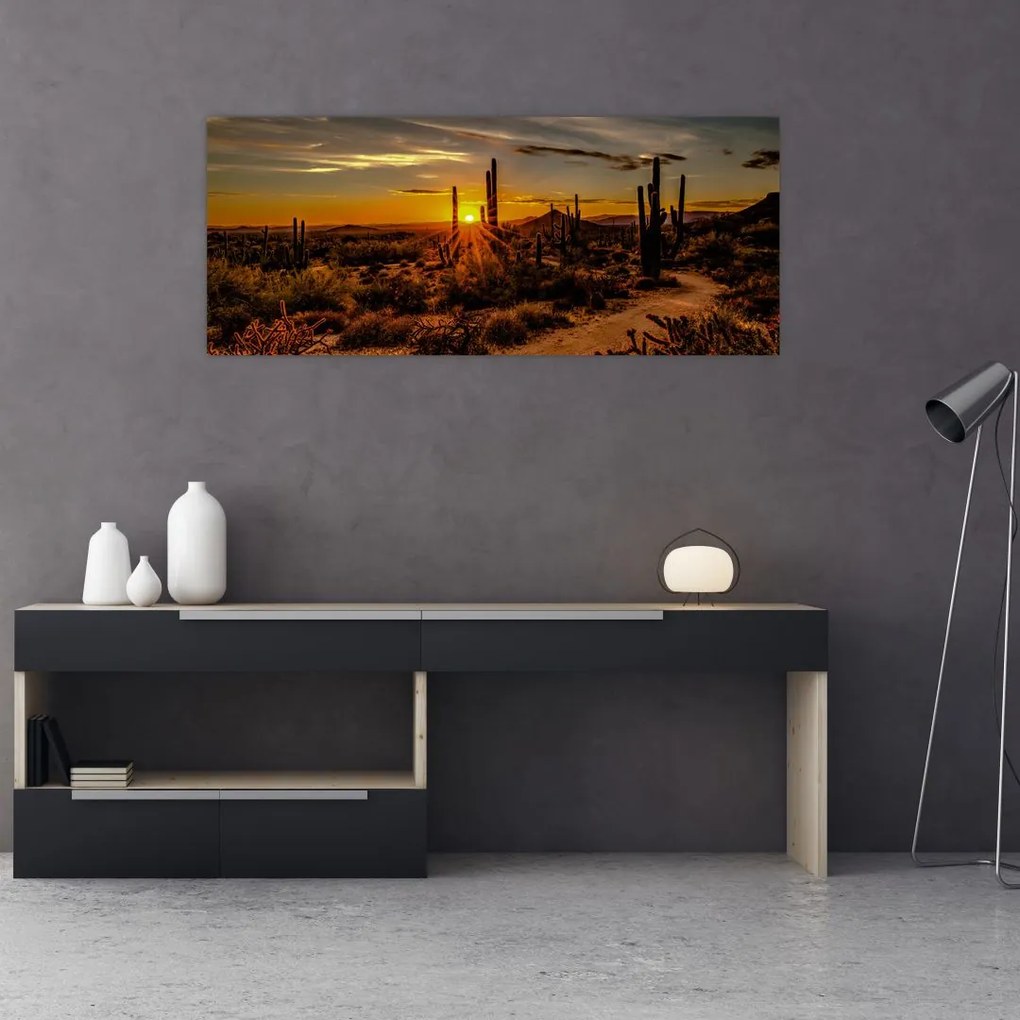 Tablou - Sfărșit de zi în deșertul Arizona (120x50 cm)