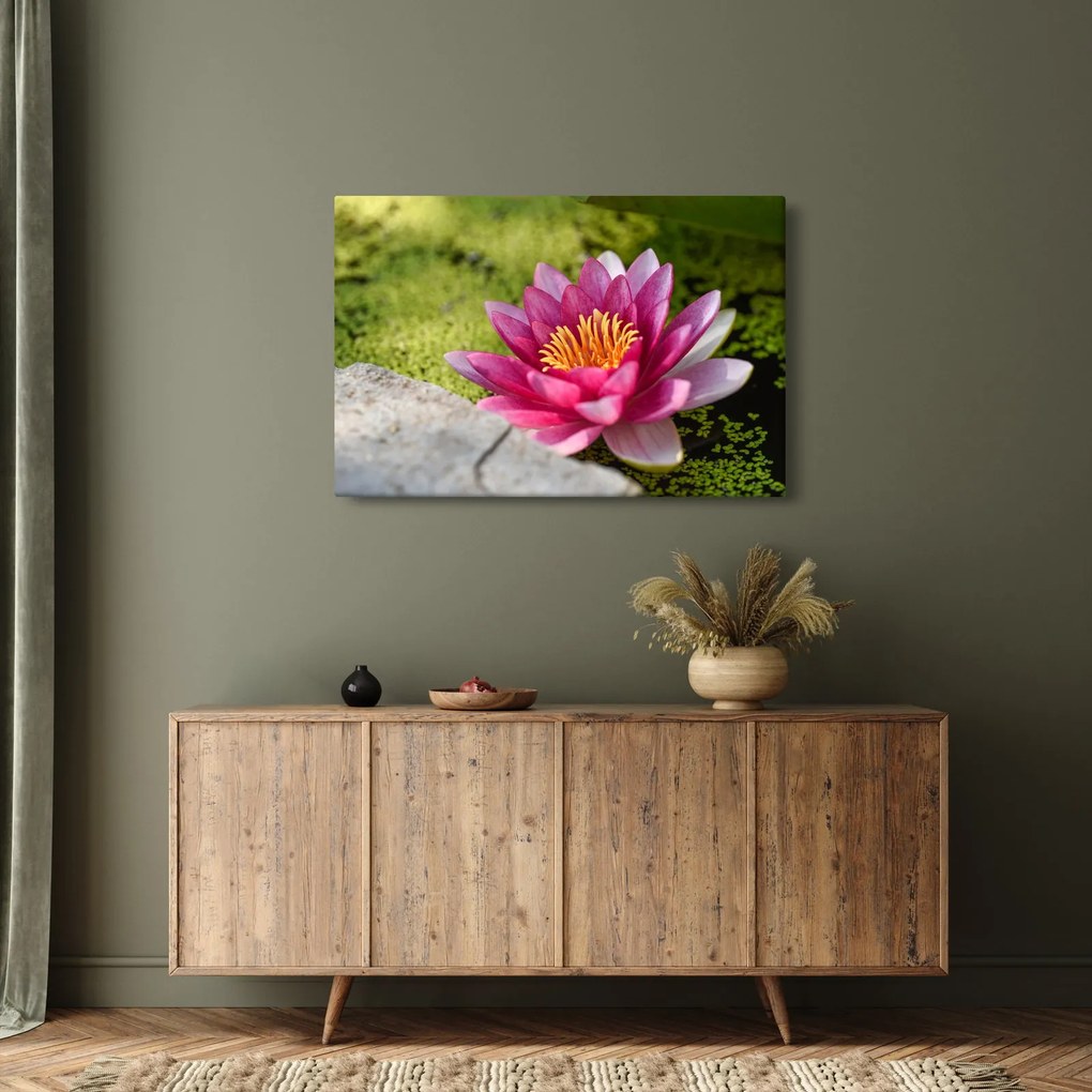 Tablou - Lotus (90x60 cm)