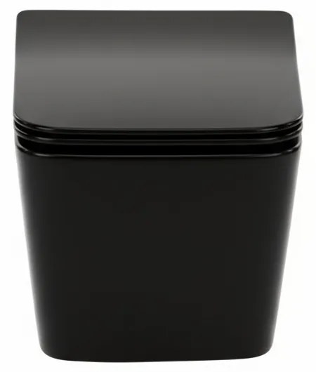 Roya Tina 82CHR set rezervor de toaletă de perete negru