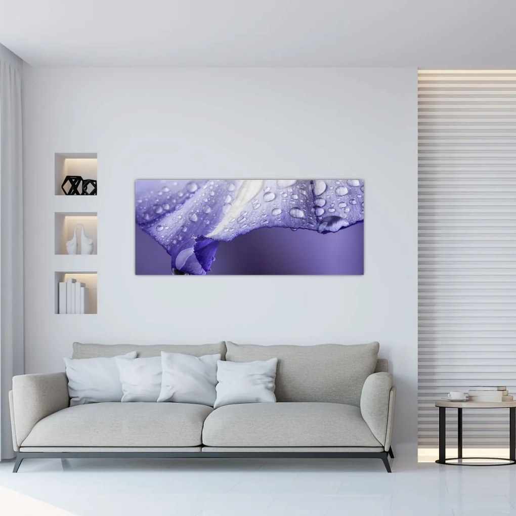 Tablou - Petală cu picături (120x50 cm)