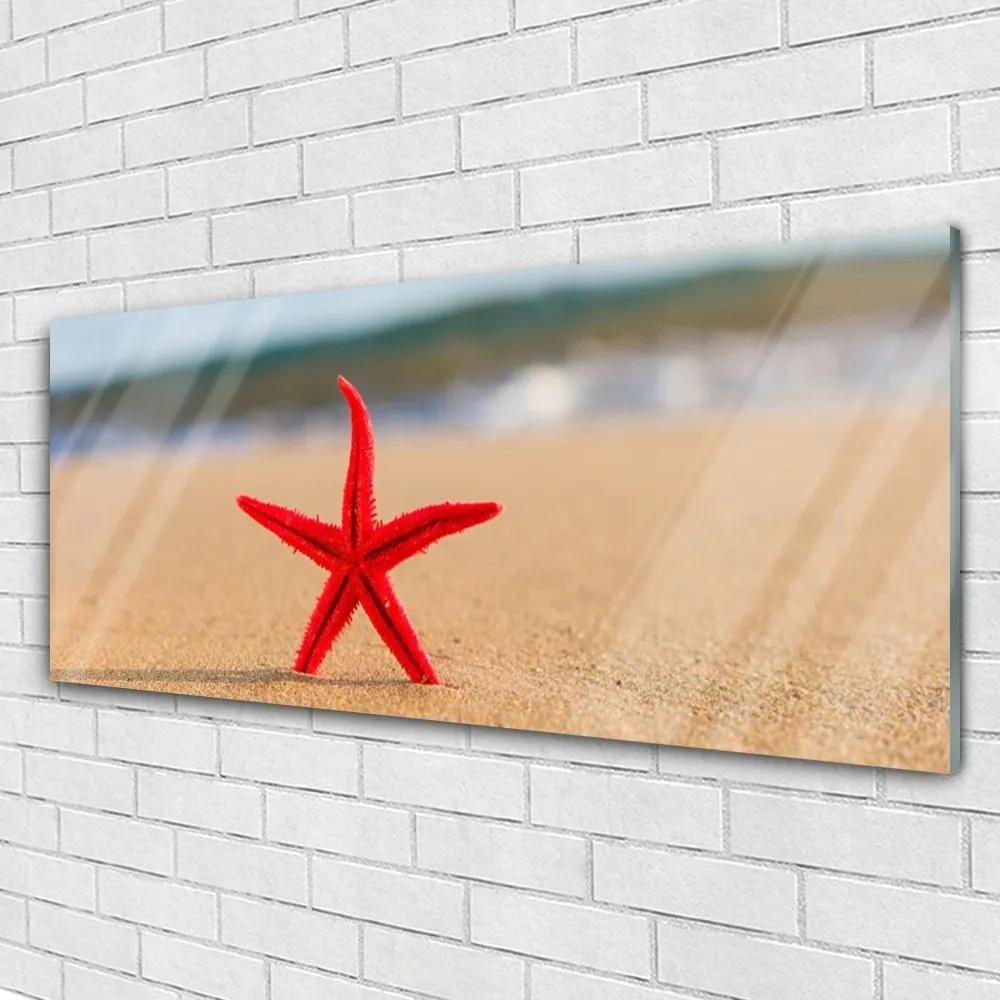 Tablou pe sticla Plaja Starfish Art Red