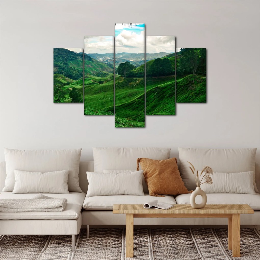 Tablou Plantații de ceai - Malaezia (150x105 cm)