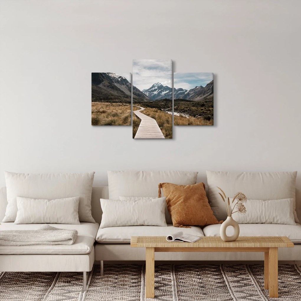 Tablou - Poteca în valea muntelui Mt. Cook (90x60 cm)