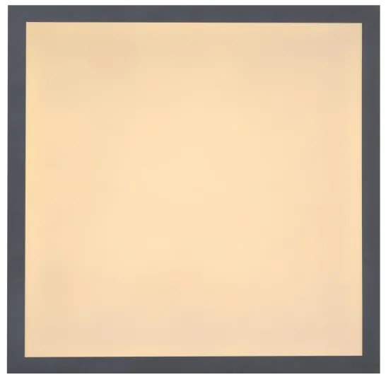 Globo 416080D1 - Plafonieră LED DORO LED/12W/230V