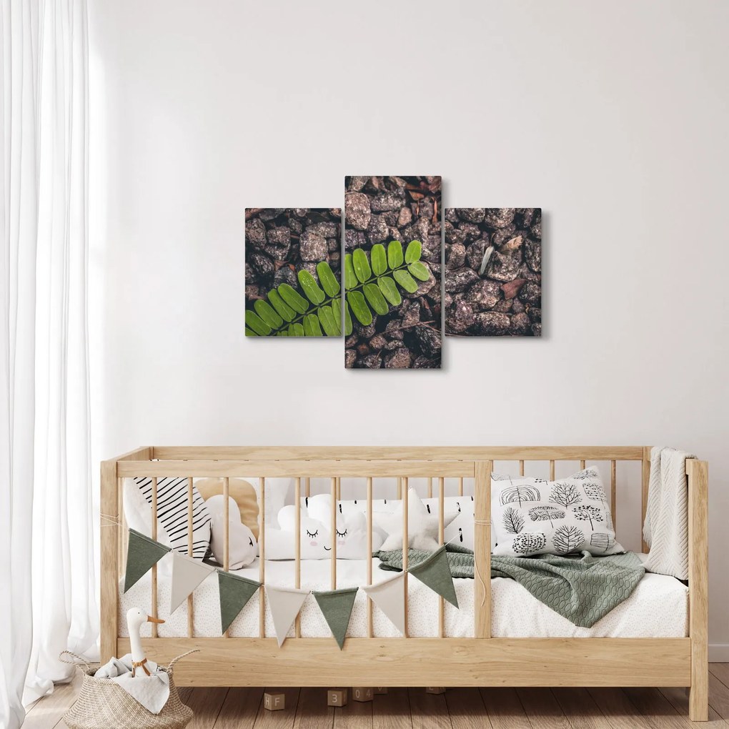 Tablou cu planta verde (90x60 cm)