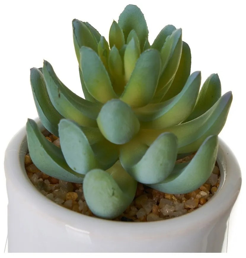 Plante artificiale 4 buc. Cactus – Casa Selección