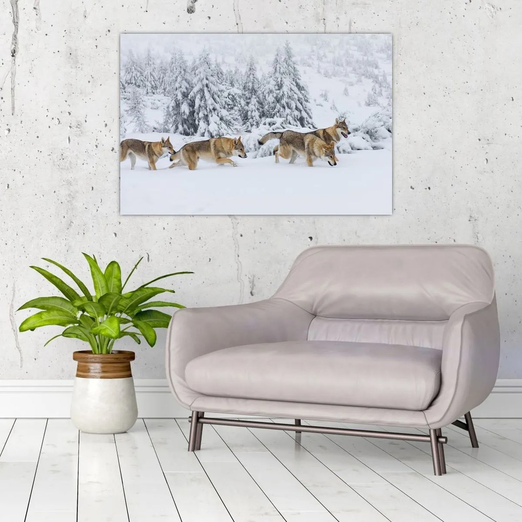 Tablou - Lupi în munți (90x60 cm)