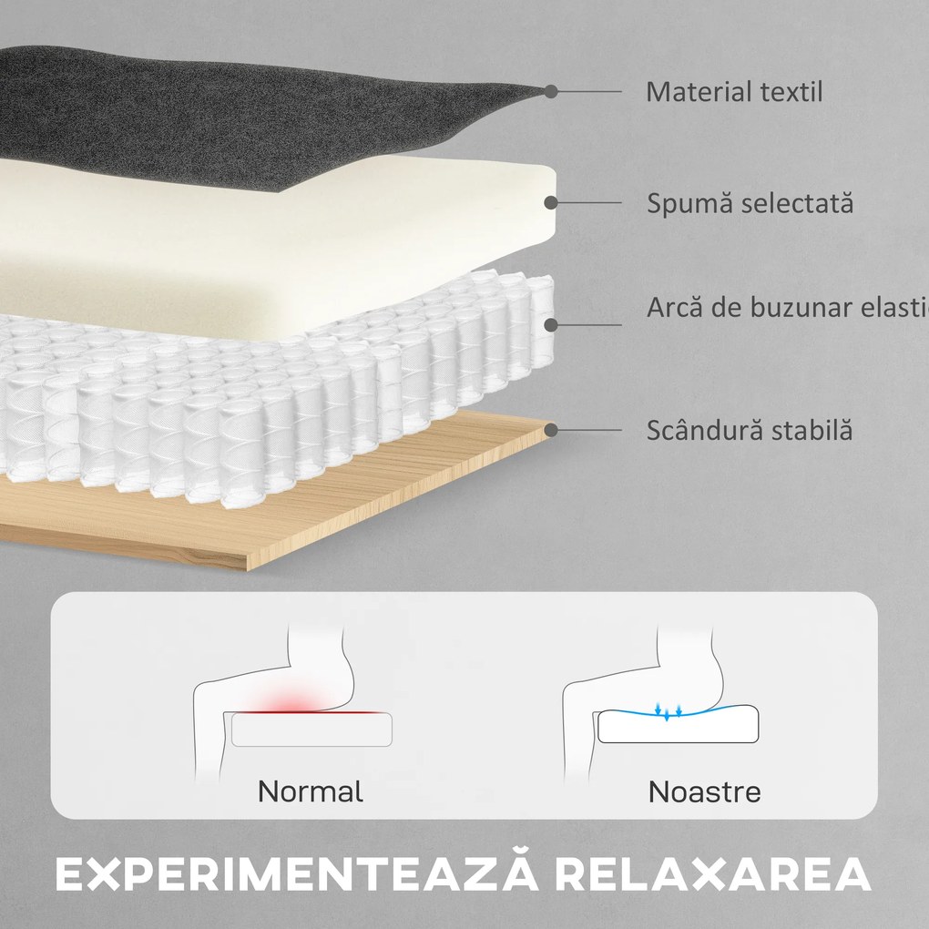 HOMCOM Fotoliu Reclinabil Electric Brushless cu Suport pentru Picioare Negru | Aosom Romania