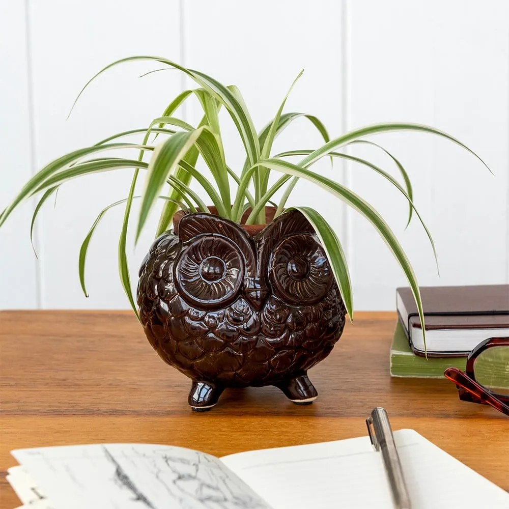 Ghiveci decorativ din ceramică ø 11 cm Owl – Rex London