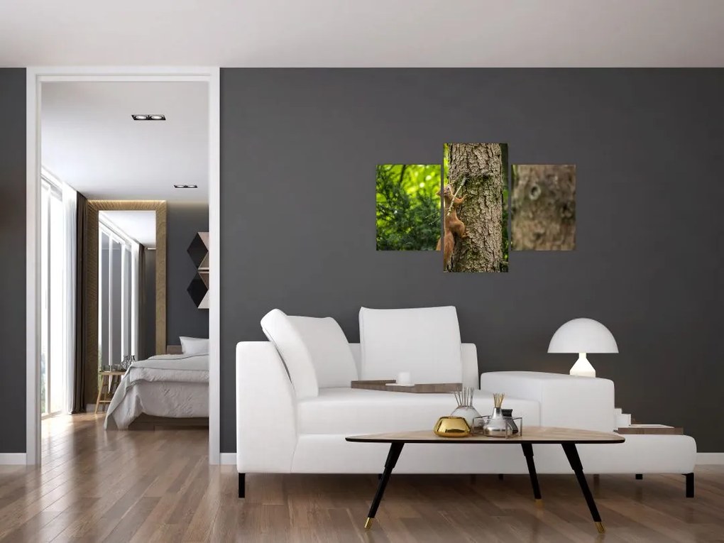 Tablou - Veverița (90x60 cm)