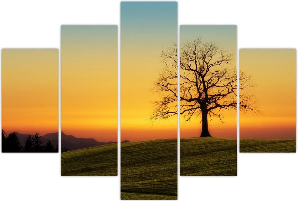 Tablou - Copacul în câmp (150x105 cm)