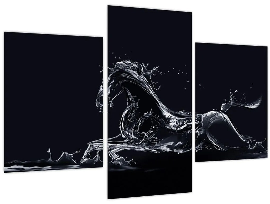 Tablou - Cal și apă (90x60 cm)