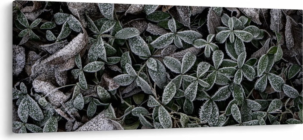 Tablou - Plante înghețate (120x50 cm)