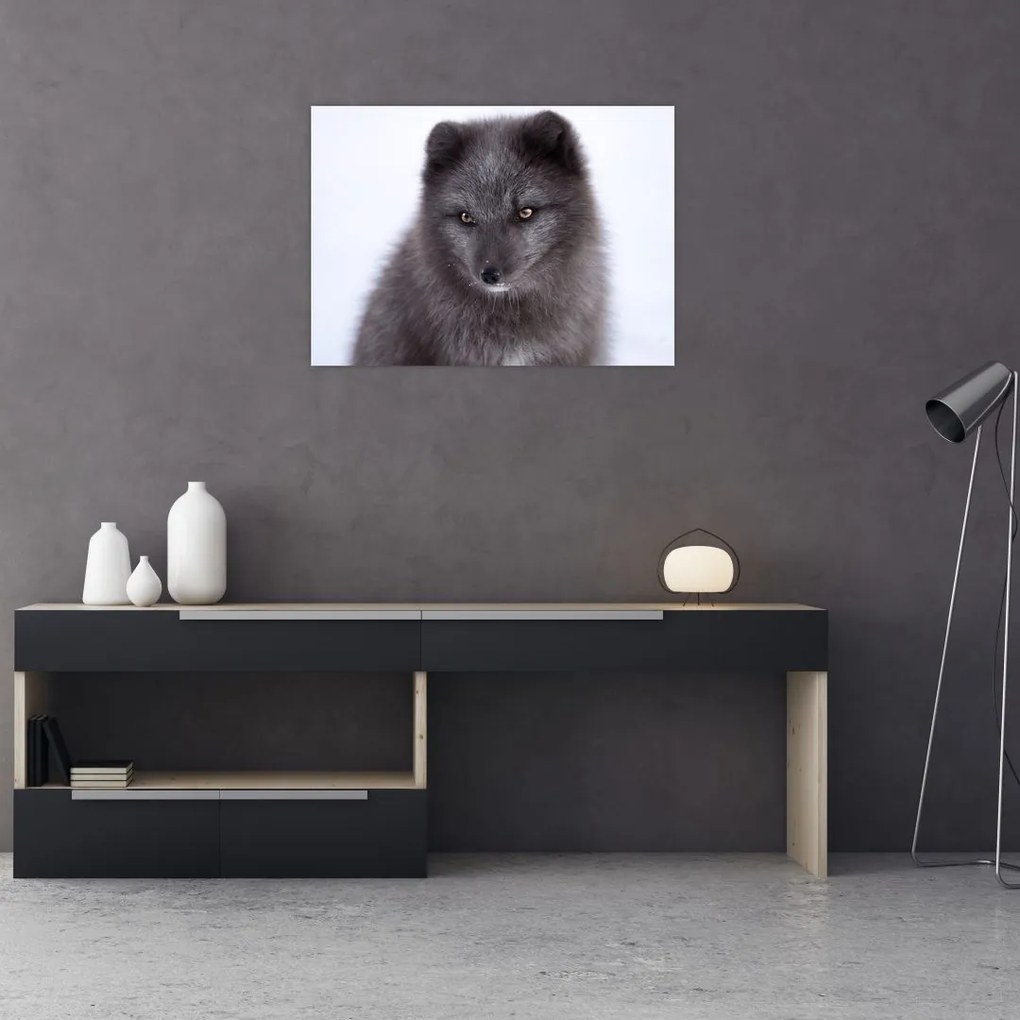 Tablou cu vulpe polară (70x50 cm)