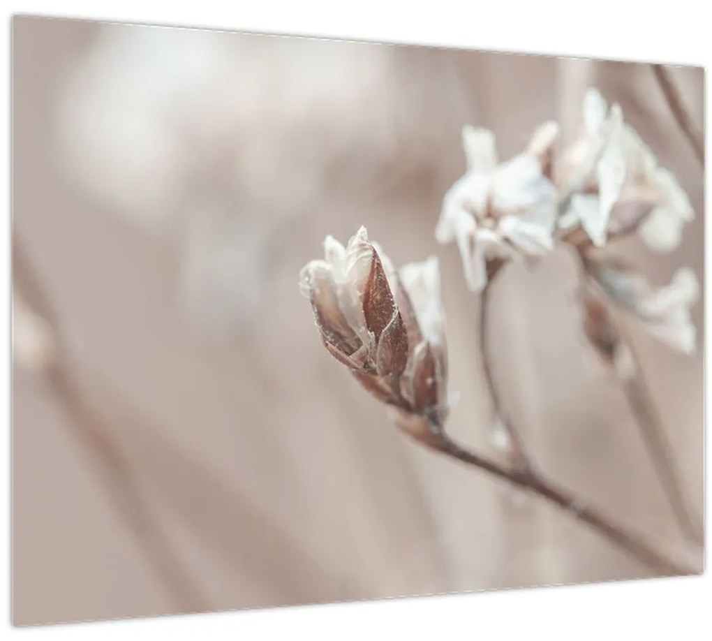 Tablou - Detaliu ramură (70x50 cm)