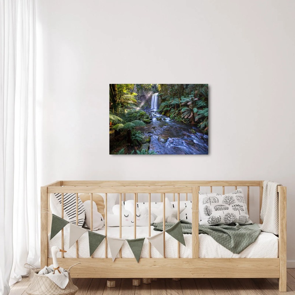 Tablou cu pădurea ploilor din Austalia (70x50 cm)