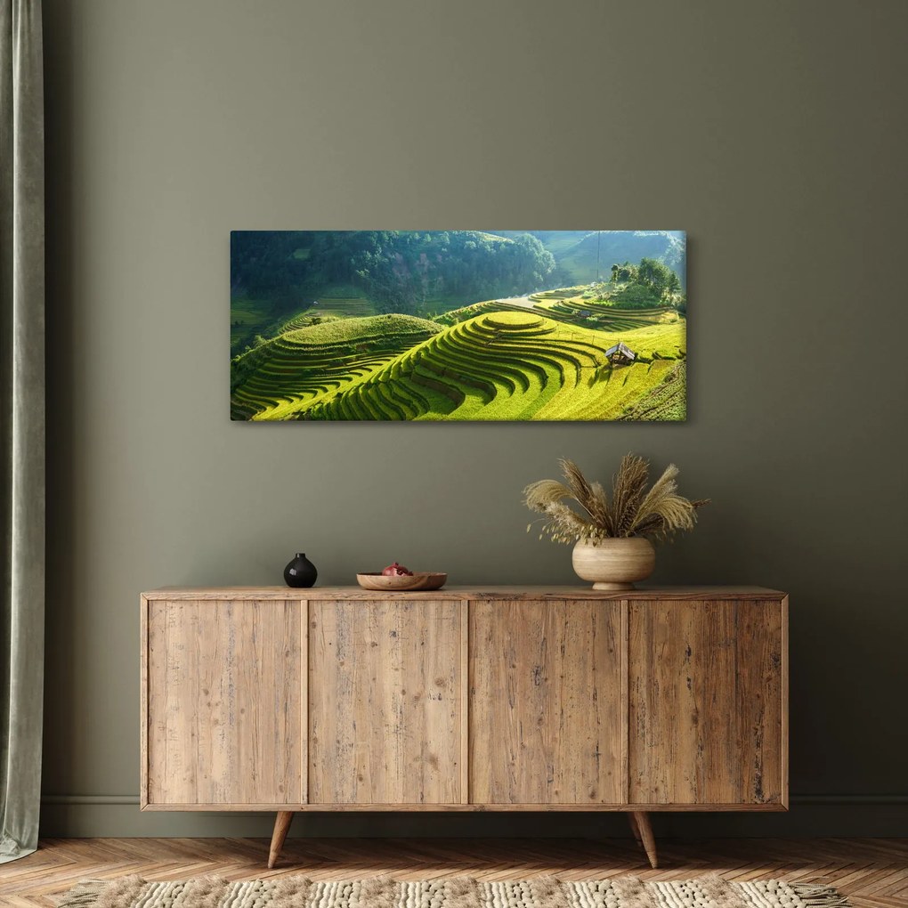 Tablou - Concert Terase de orez (120x50 cm)