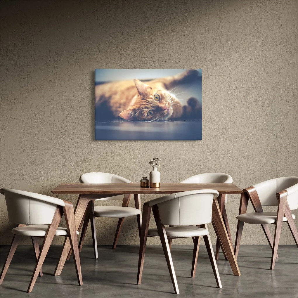 Tablou - Pisici pe podea (90x60 cm)
