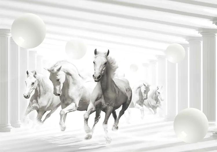 Horses White Spheres Fototapet, (312 x 219 cm)