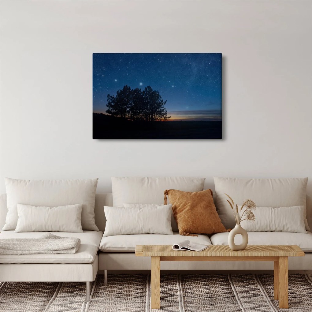 Tablou cu copaci noapte (90x60 cm)