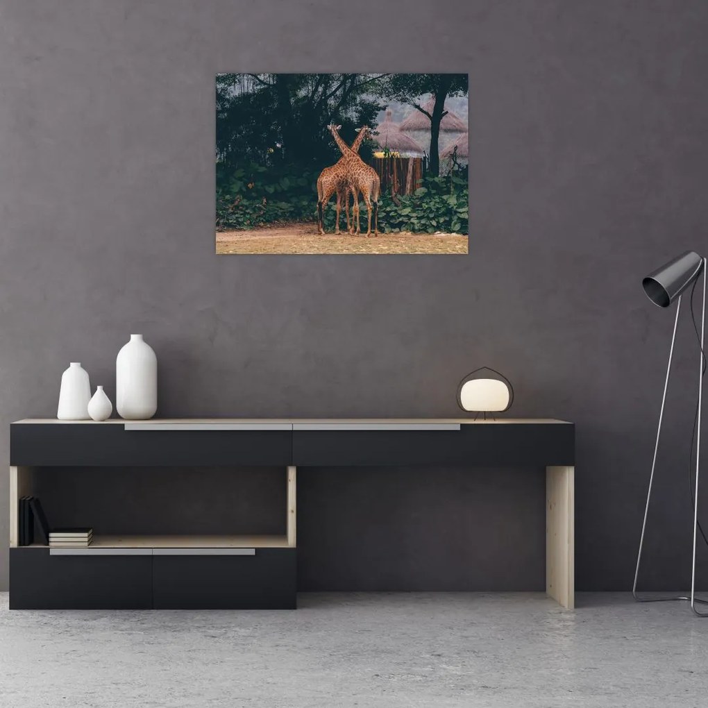 Tablou pe sticlă cu două girafe (70x50 cm)