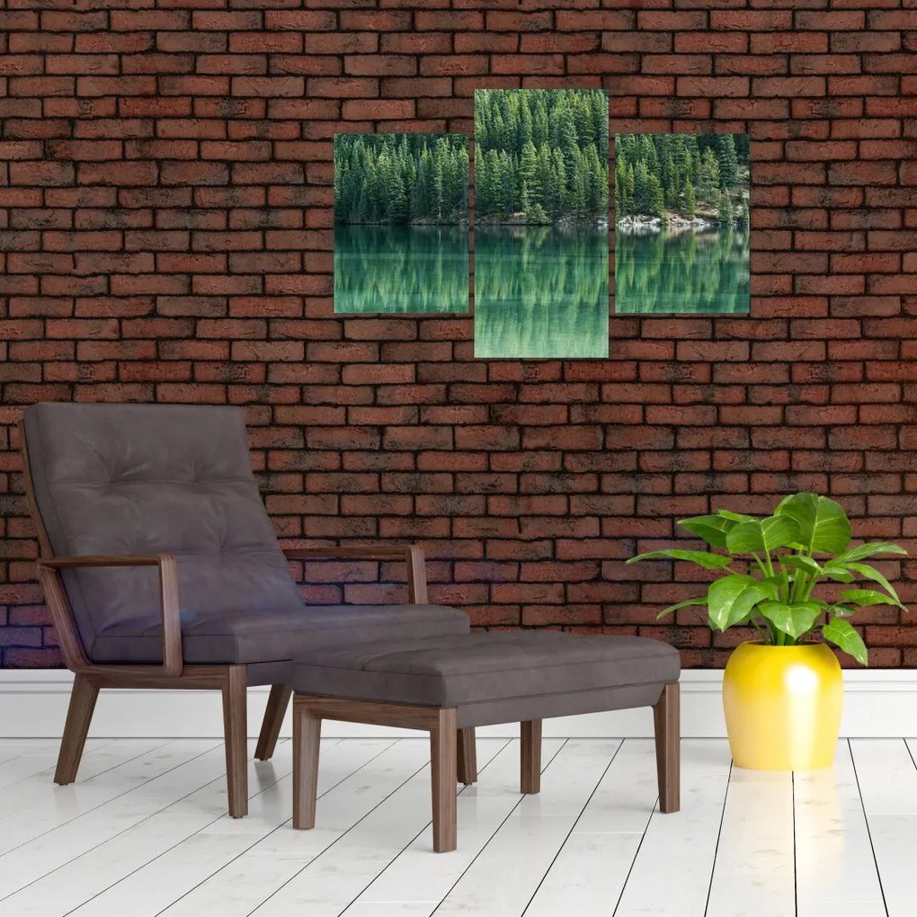 Tablou - Coniferi lângă lac (90x60 cm)