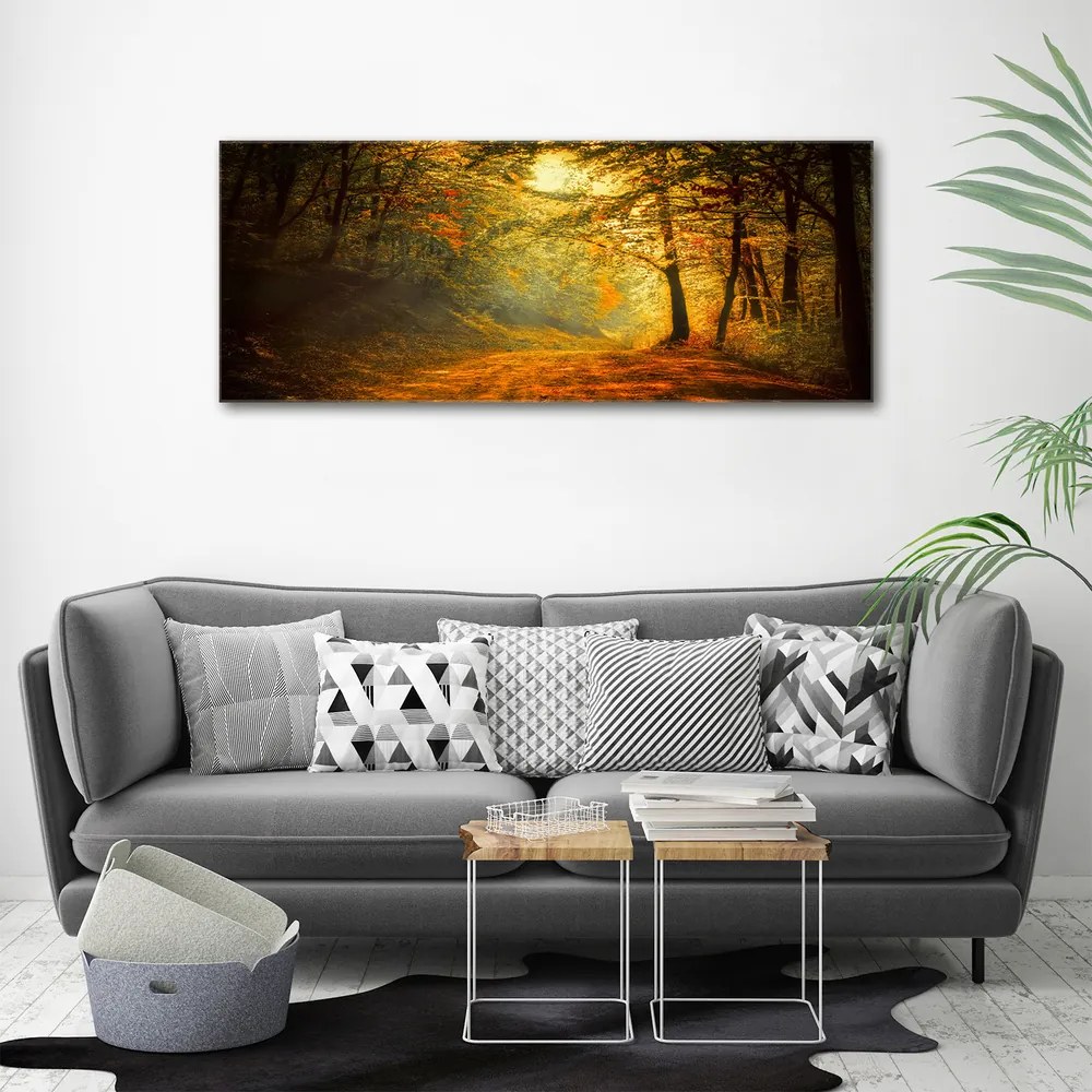 Imprimare tablou canvas Pădure în toamna