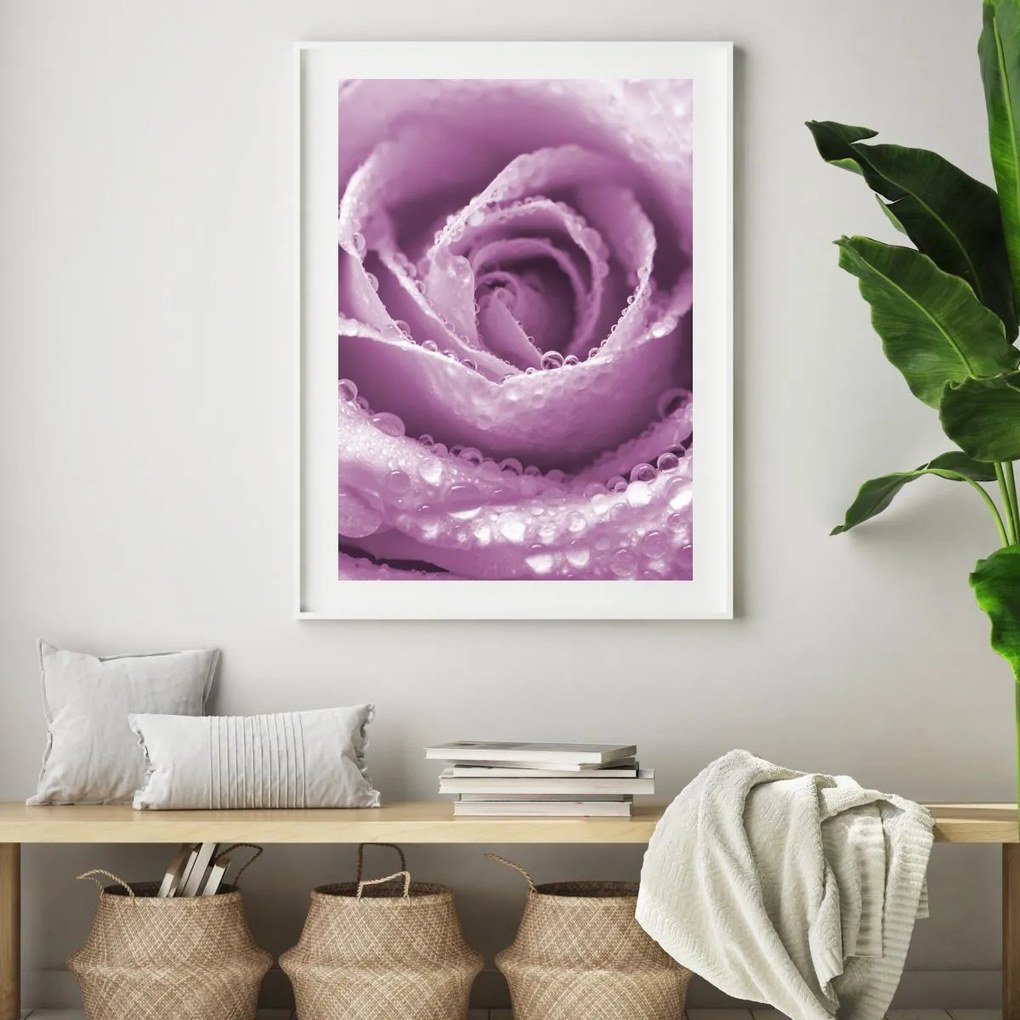 Poster - Trandafir (A4)