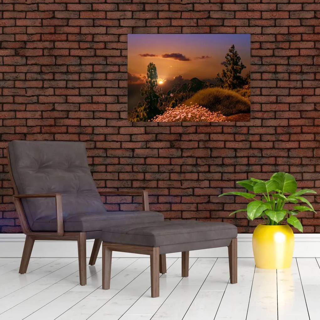 Tablou pe sticlă naturii cu apus de soare (70x50 cm)