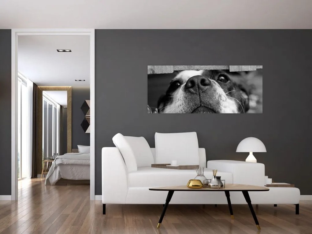 Tablou cu câine (120x50 cm)