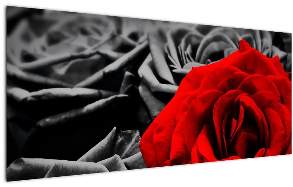 Tablou - Flori de trandafir (120x50 cm)