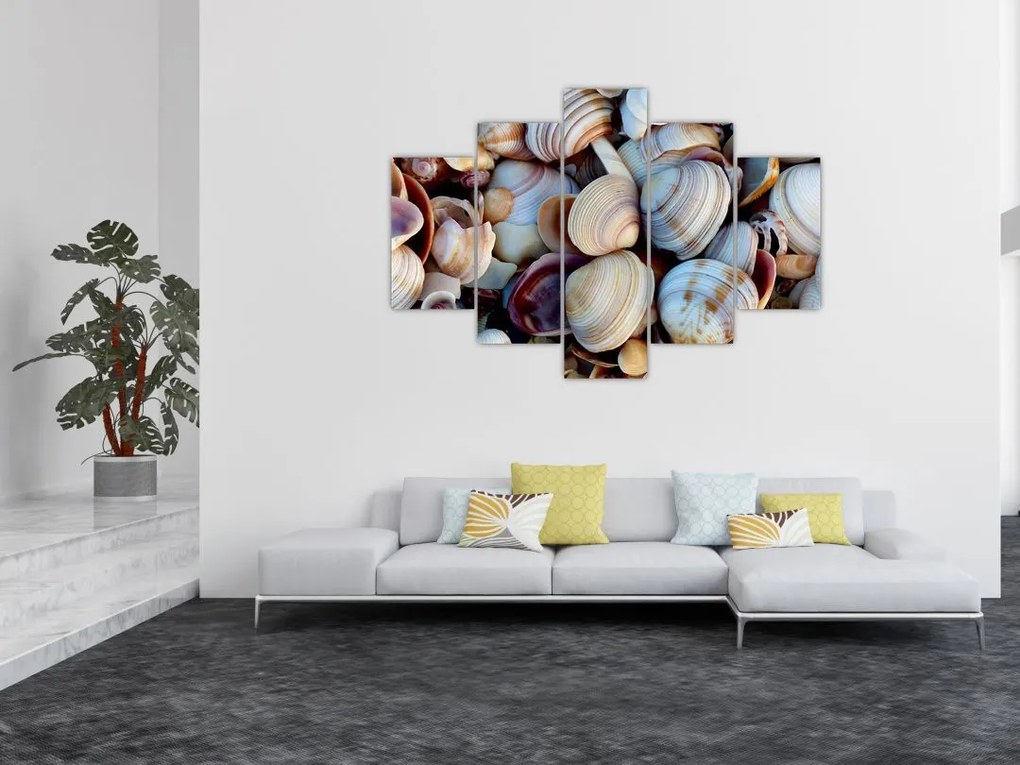 tablou cu scoici (150x105 cm)