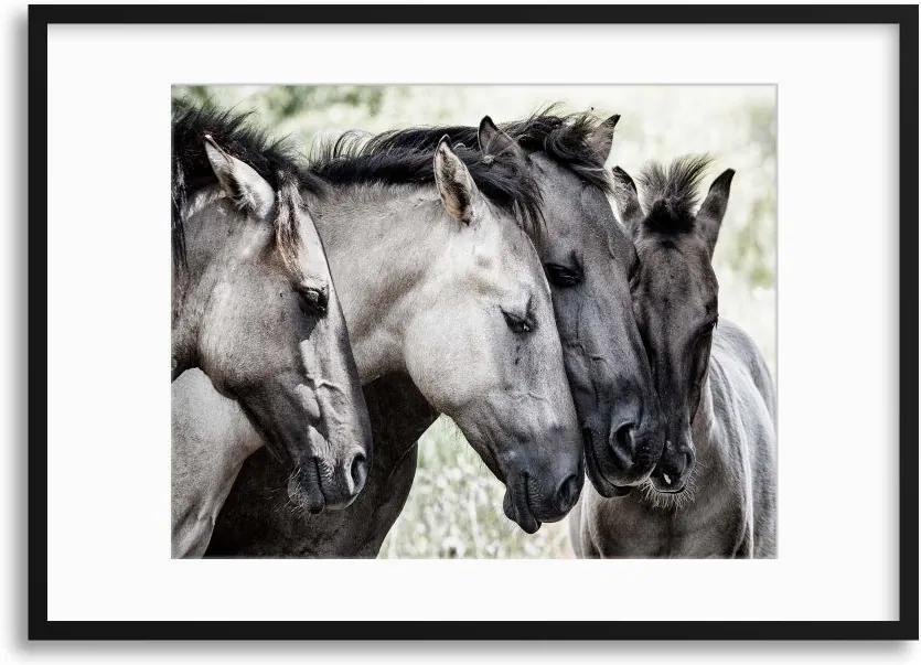 Imagine în cadru - Four Konik Horses by Jaap 70x50 cm