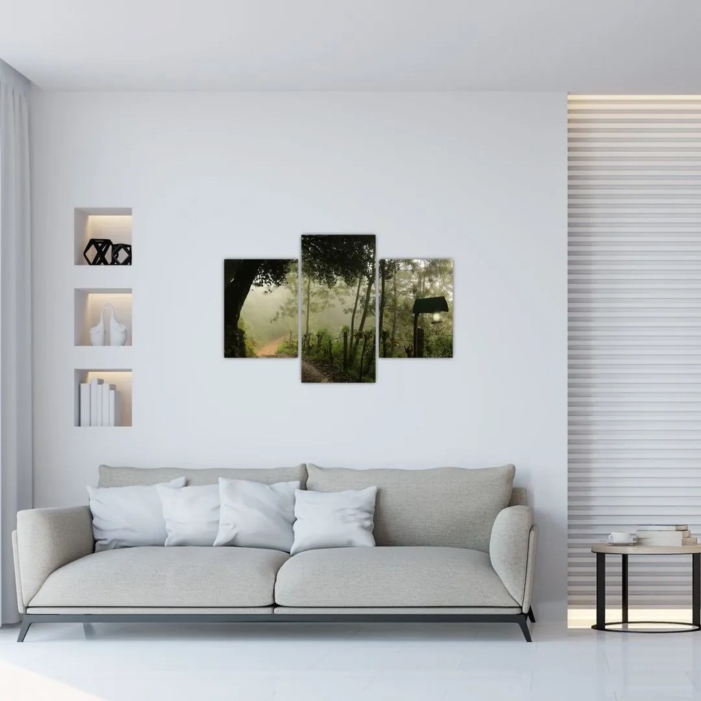 Tablou cu ceața de dimineața (90x60 cm)